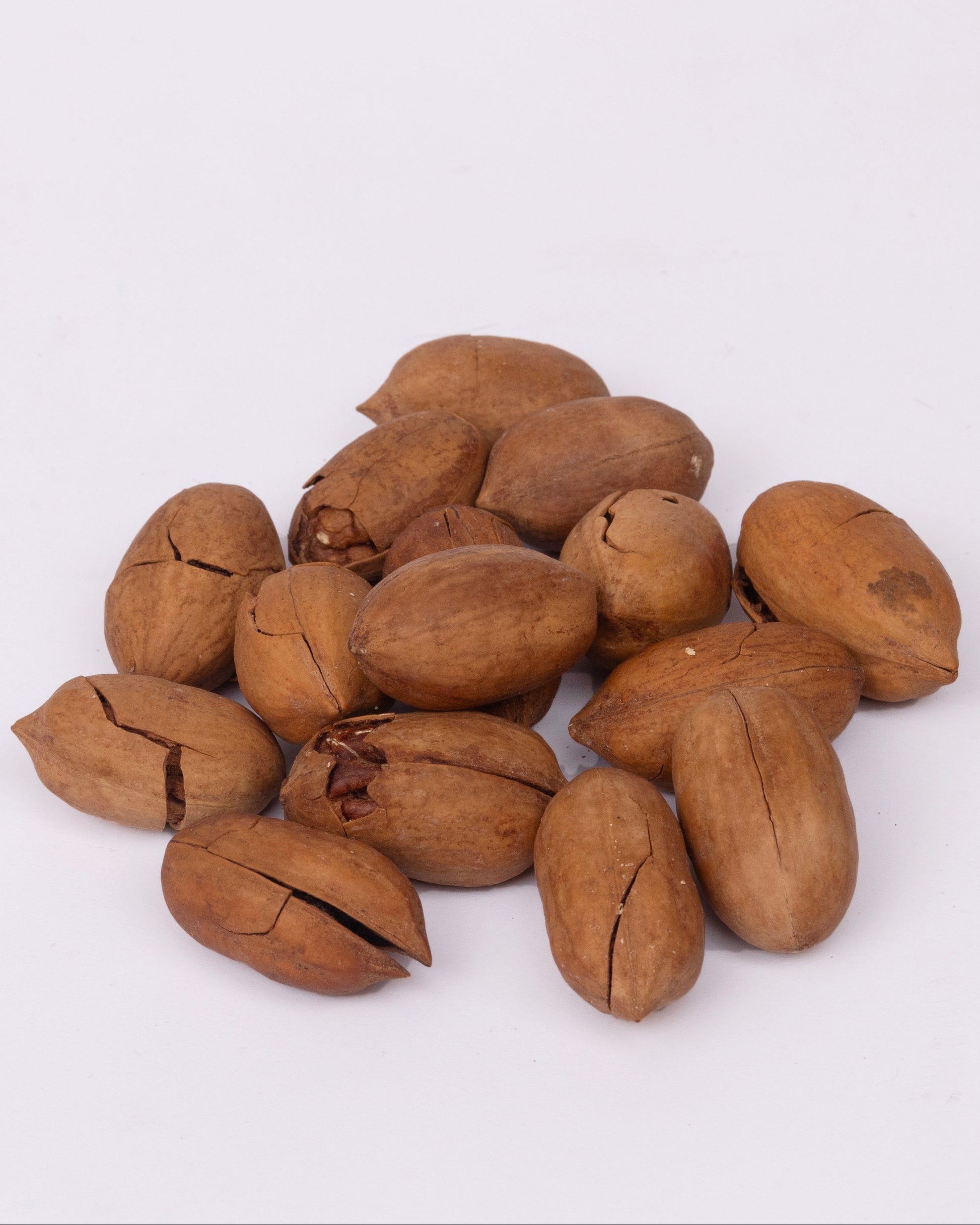 Pecan Nuts